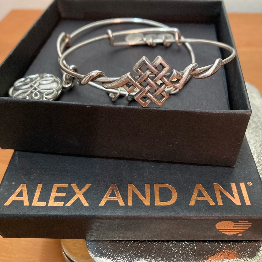 2 Bangles Alex and Ani Bangle Charm Bracelets 2 bundle lot
